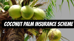 Coconut Palm Insurance Scheme