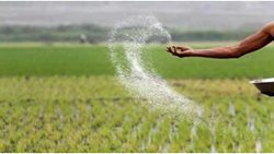 Indian Government Approves Revised Nutrient Based Subsidy Rates for Phosphatic & Potassic Fertilizers