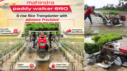 Mahindra Introduces 6RO Paddy Walker Transplanter Offering Profitability to Rice Farmers: Details Inside