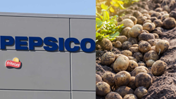 PepsiCo India Launches Crop Intelligence Model For Potato Farmers 