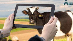 Animal Agtech Innovators - Revolutionizing the Livestock Industry