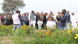 Gujarat Aims to Train 3 Lakh Farmers Monthly in Natural Farming Under the New Training Model