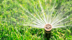 5 Types of Irrigation Equipment Perfect for Agricultural Purposes 