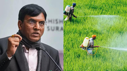 Centre Has Enough Stock of Fertilizers For Kharif Season, Will Be Easily Available To Farmers