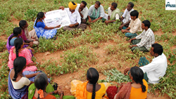 The Importance of Training Sessions for Farmers in Achieving Good Seed Durability and Propagation