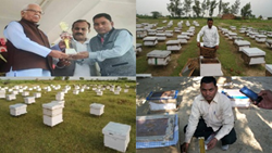 Brajesh Kumar Verma: From Humble Beginnings to Earning Crores, Know About This Beekeeping Tycoon