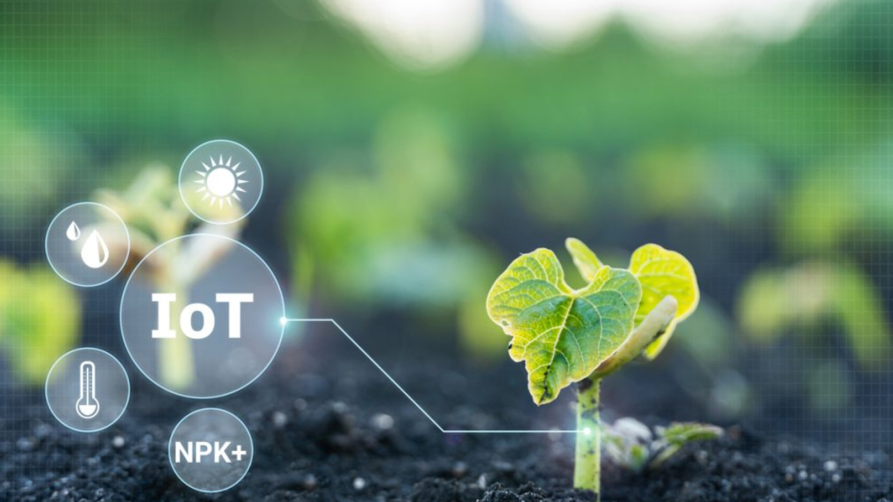 Agriculture IoT Applications: Best Use Cases To Increase Efficiency And ...