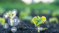 Agriculture IoT Applications:  Best Use Cases to Increase Efficiency and Profitability