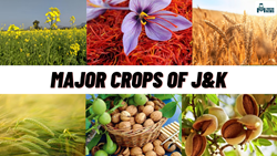 Best to Visit in April, Know About the Major Agriculture Crops Grown in Jammu & Kashmir