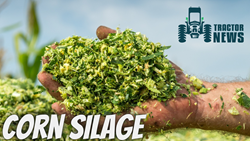 Corn Silage Production and Management