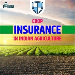 Crop Insurance In India - Pradhan Mantri Fasal Bima Yojana
