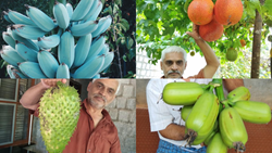 Blue Bananas to Gac Fruit: Know How This Karnataka Farmer Cultivated 1,300 Exotic Fruits, Flowers, & Plants