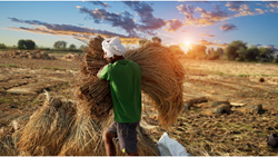  State Government Announces Rs 22,000 Crore Interest-Free Crop Loan Plan for Farmers in 2023-24