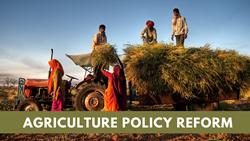 Unveiling the Power of Agricultural Policy Reform- Significance in Agriculture