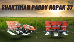 Shaktiman Paddy Ropak 37: Powerful Walk-Behind Rice Transplanter with All Modern Technicals