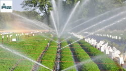 Haryana Government Will Offer 85% Subsidy On Irrigation Technology For State Farmers 