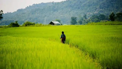 Outlook and Current Status of Organic Farming in North East India