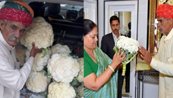 Inspiring Story of Jagdish Prasad Parikh: The Cauliflower Man From India