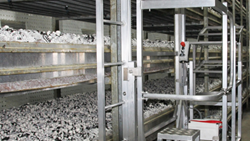 Tips for First-Time Buyers to Identify Quality MUSHROOM Farm Equipment