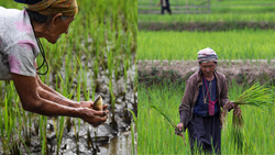 Arunachal Pradesh: A Symphony of Agriculture and Ingenious Mechanization