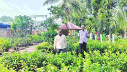 Horticulture Society Introduces 100 Exotic Plant Species in Telangana, Promoting Urban Terrace Farming