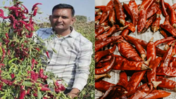 Inspiring Story of Class 8 Pass Farmer Dharmesh Bhai Mathukiya Earning Rs 1.5 Crore Yearly