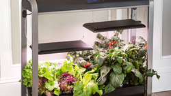 Hi-Tech Gardening- Unleashing the Advanced Technology for a Sustainable Future