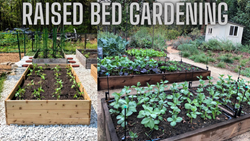 Raised Bed Gardening: Benefits, Process, & Profit