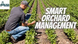 Orchard Management- Use These Software To Manage Your Orchard Farms