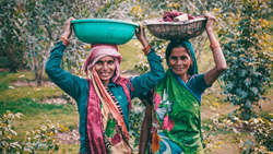 Role of Women in Agriculture, Breaking Grounds By Shattering Stereotypes 