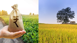 Telangana Govt Unveils ₹2 Lakh Farm Loan Waiver Guidelines for Farmers