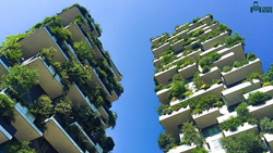 Vertical Skyscrapers: High Rise Gardening