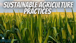 Sustainable Agriculture Practices For Higher Yields- Government Updates 2023