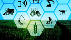 Digital Tools Lead the Way in Pioneering Sustainable Agriculture