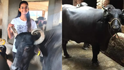 Shraddha Dhawan: From Dairy Farming at 11 to Rs 1 Crore Dairy Empress at 24