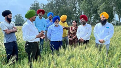 Punjab Agri University Squad Evaluates Surface Seeding-Cum-Mulching Technology In Wheat Fields From Six Districts