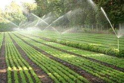Farmers can get a 55% discount on drip irrigation, mini sprinklers, and portable sprinkler systems