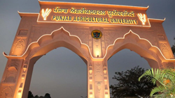  PAU Set to Recognize Visionary Farmers for Agricultural Excellence at Kisan Mela on September 14th