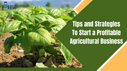 Tips and Strategies To Start a Profitable Agricultural Business