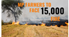 MP Farmers to Face ₹15,000 Fine for Burning Crop Residue, Harvester with Straw Chopper Mandatory 