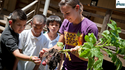 Growing Success -The Importance and Impact of Agriculture Education Programs