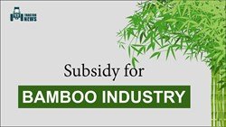 Capital Investment Subsidy Scheme for Bamboo Industry