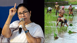 Mamata Government Allocates Rs 197 Crore to Help Rain-Affected Farmers