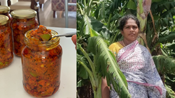 Remarkable Woman Farmer Crafting Success with PASUMAI's 10+ Value-Added Products, Earns 10k Rs a Month