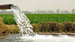 Severe August Rainfall Shortage, Gujarat Farmers to Receive Additional 2 Hours of Electricity for Irrigation