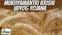 Mukhyamantri Krishi Udyog Yojana - Eligibility, Selection & More