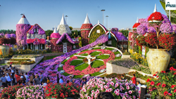 Dubai Miracle Gardens,  Blossoming Oasis in the Desert