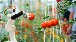 Robotics And Automation In Agriculture- Its Advantages And Future 