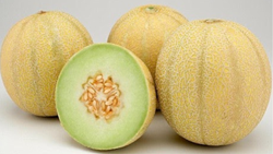 Japanese Farmers Cultivate Unique "Lemon Melon" Fruit, a Perfect Summer Delight