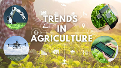 Top 8 Technological and Agricultural Trends in Indian Agriculture